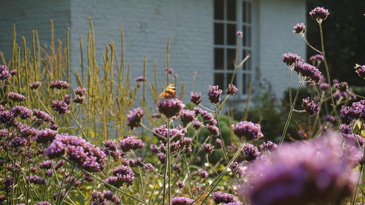 Villa Het Witte Kasteel Loon op Zand Exterior foto